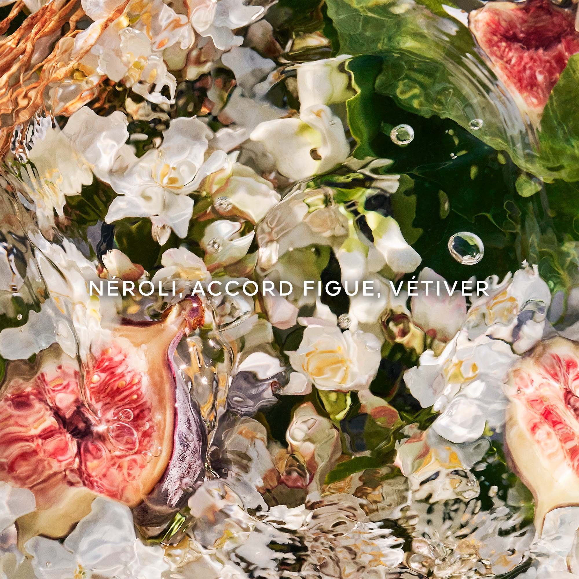 Nerolia vetiver - recharge