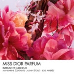 20mL DIOR MISS DIOR Parfum - roller-pearl - notes fleuries, fruitées & boisées  4 of 4 Parfum - roller-pearl - notes fleuries, fruitées & boisées