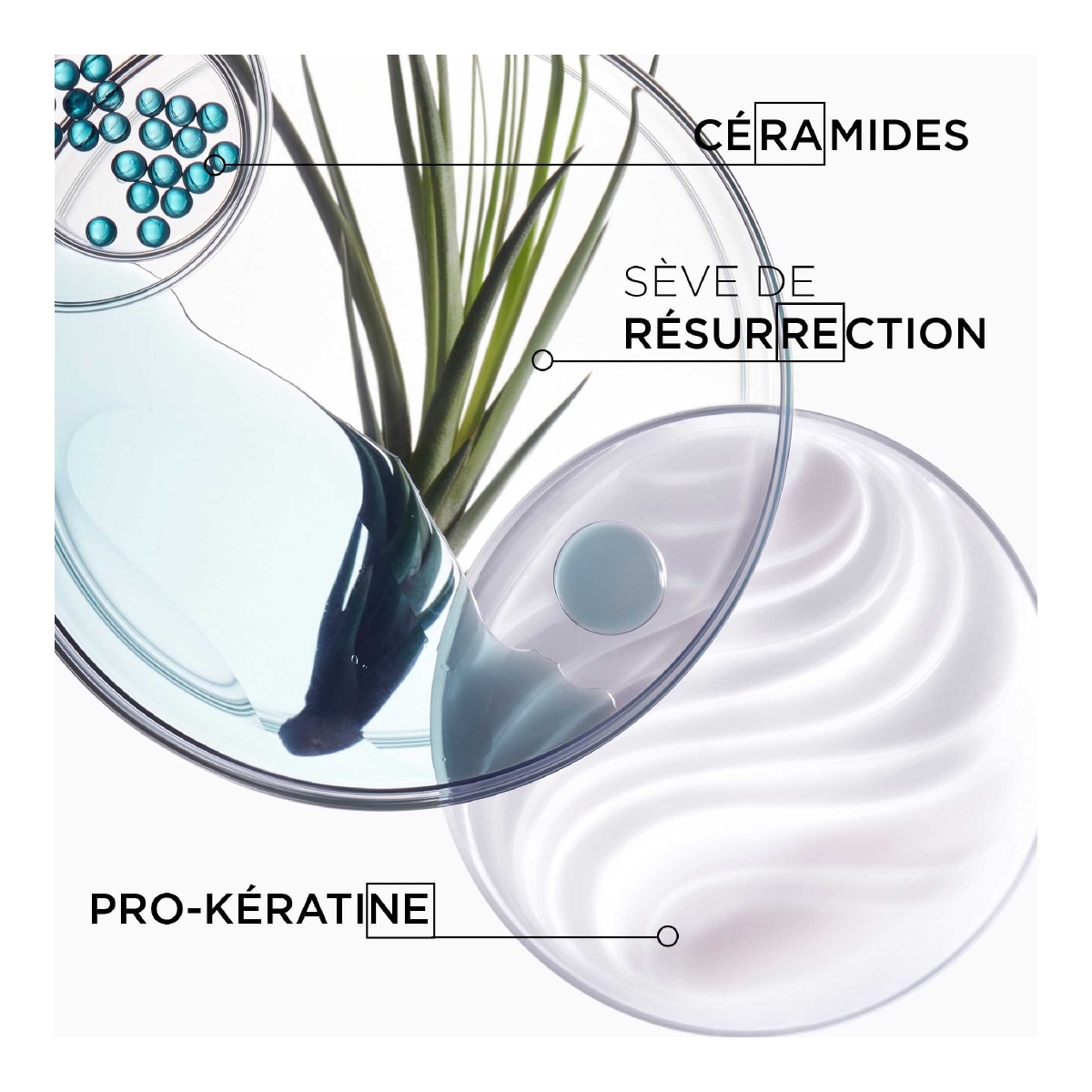 Lait reconstructeur de brushing pour cheveux abîmés