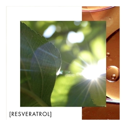 Crème de nuit anti-âge revitalisante nutrition & éclat