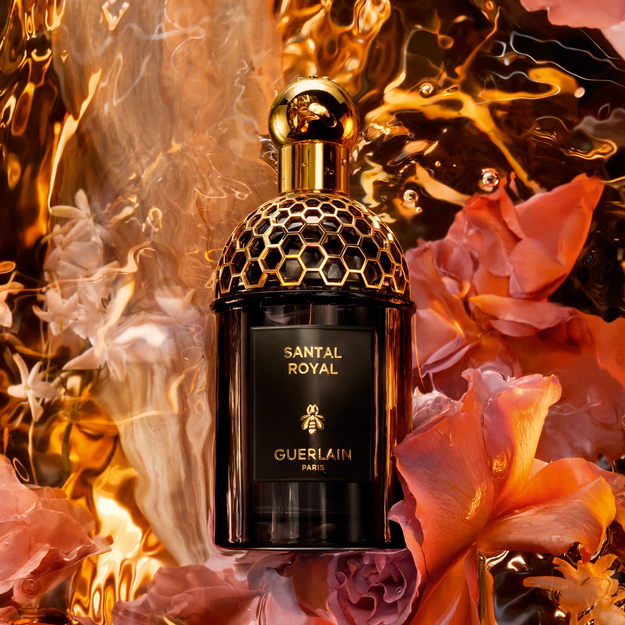Santal royal eau de parfum
