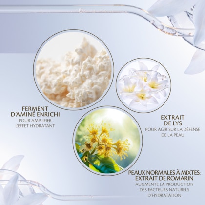 Lotion essentielle hydro-clarifiante