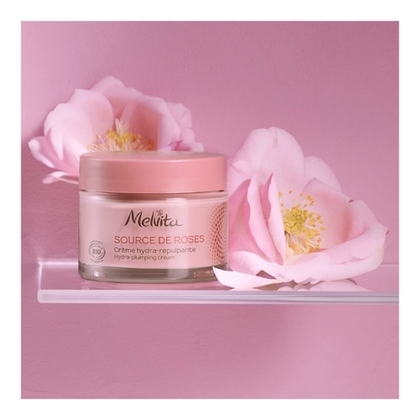 50mL MELVITA SOURCE DE ROSES Crème hydra-repulpante 48h bio  1 of 4 