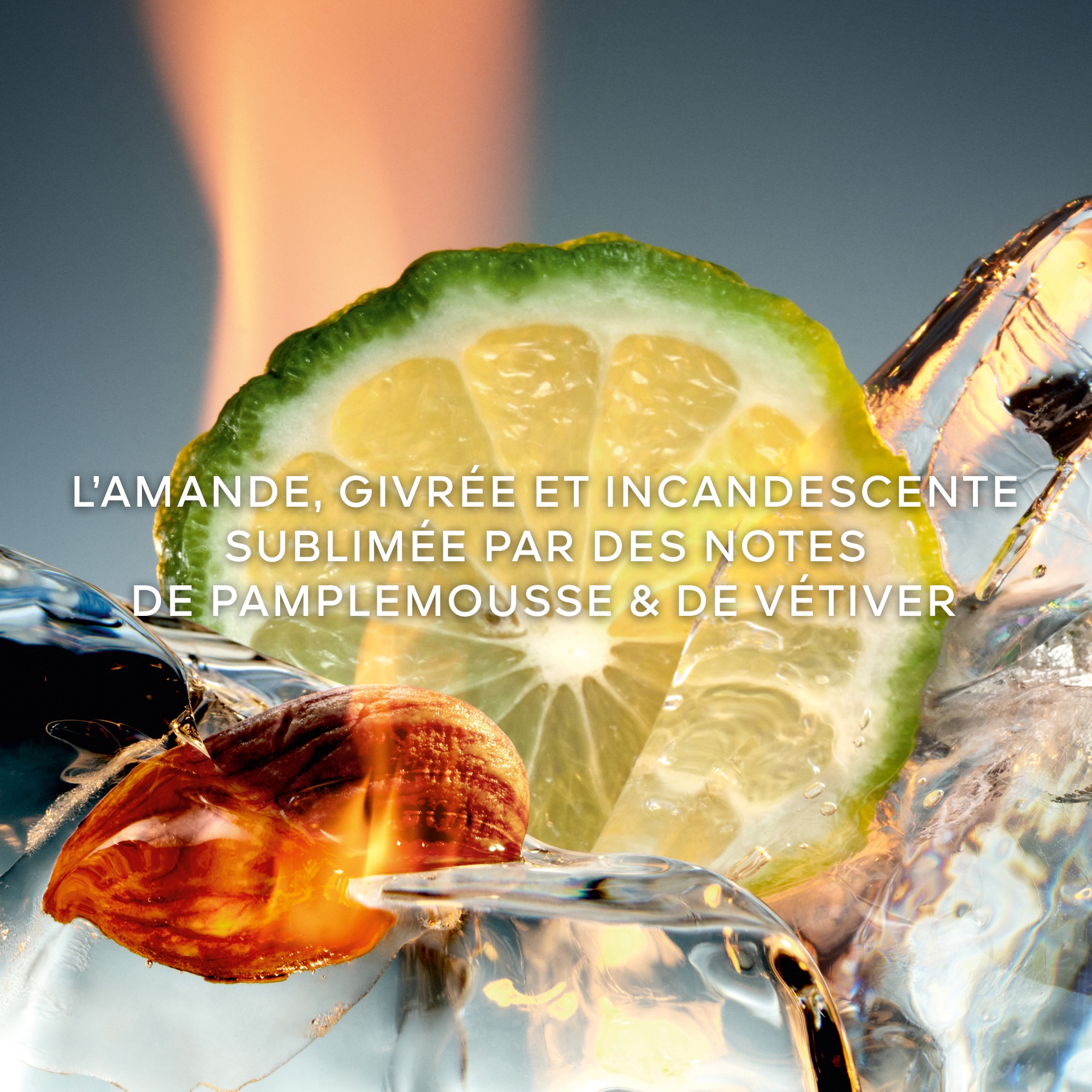 Eau de parfum - cologne forte