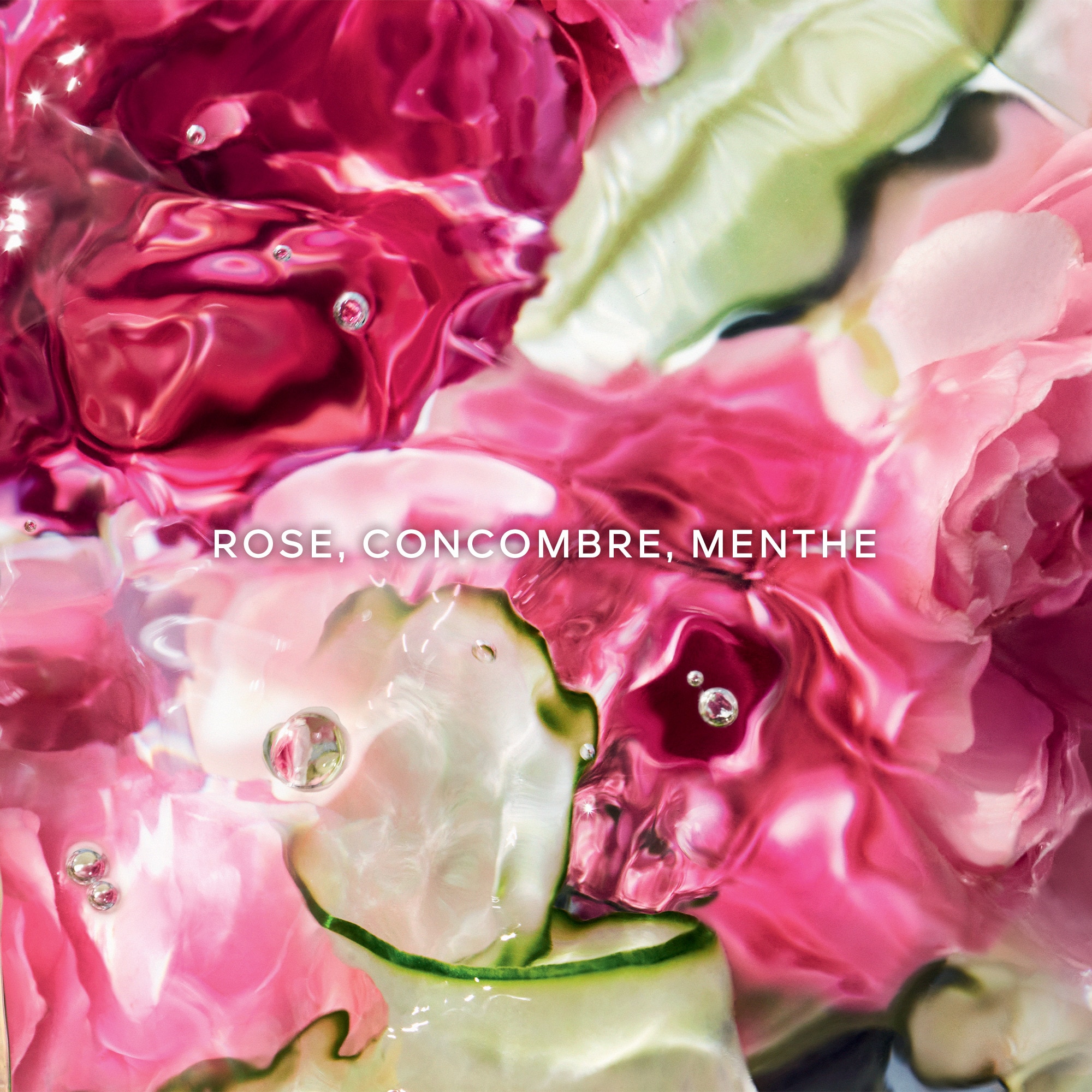 Aqua allegoria rosa verde crème mains