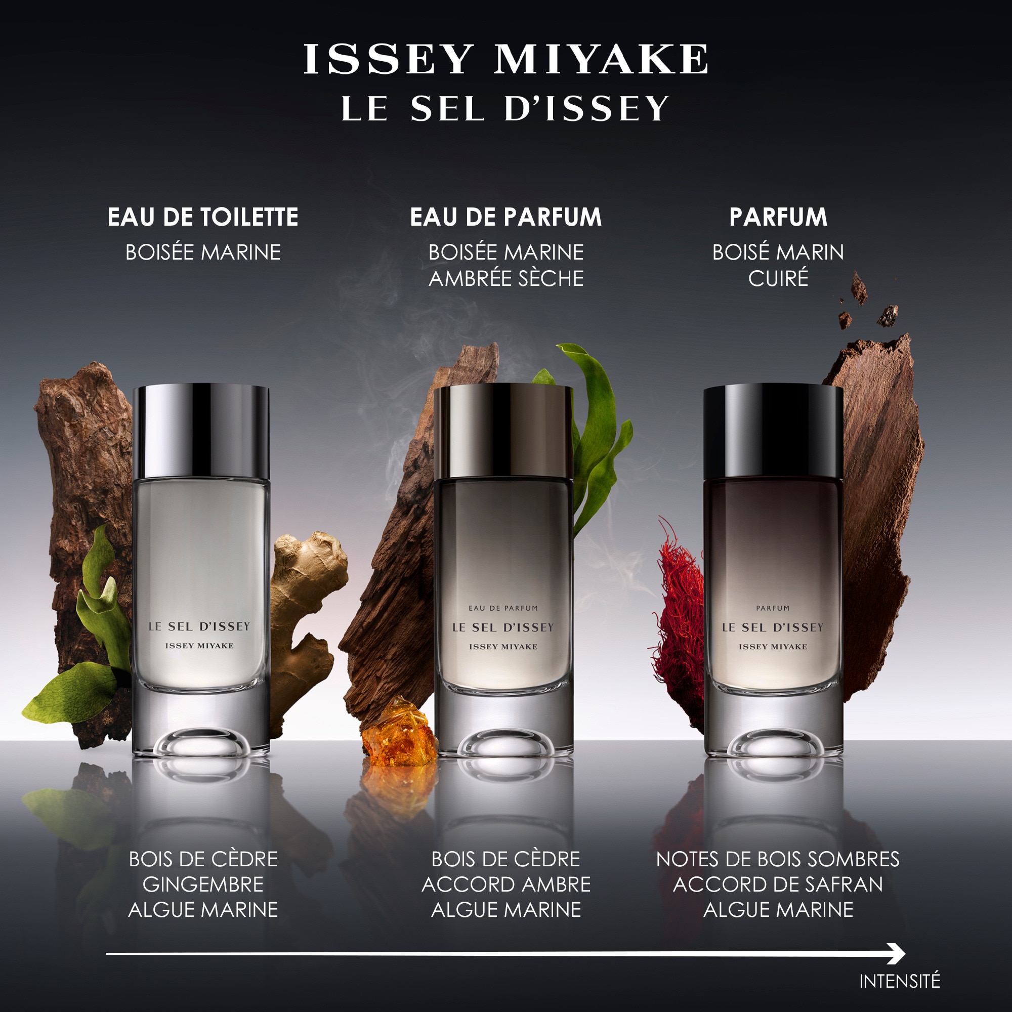 50mL Issey Miyake LE SEL D'ISSEY Parfum  4 of 4 Parfum