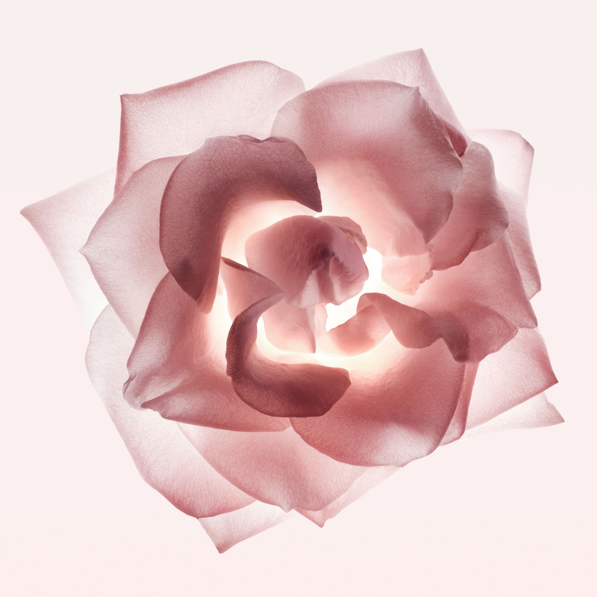 Eau de parfum - cristal