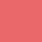 DIOR ROUGEBLUSH Blush joues et pommettes - longue tenue 4 of 4 Blush joues et pommettes - longue tenue