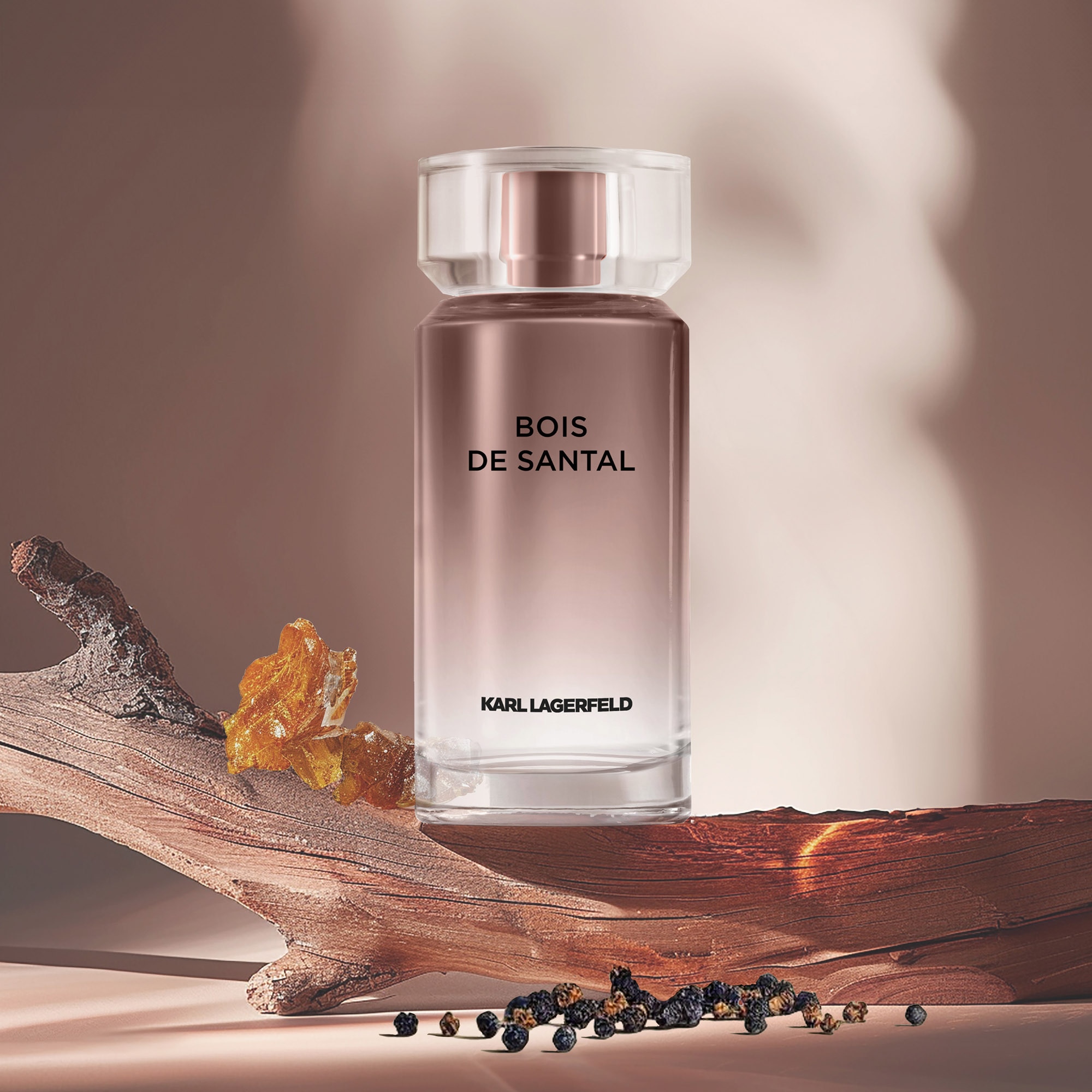 100ML KARL LAGERFELD LES PARFUMS MATIÈRES Bois de santal - eau de toilette  1 of 4 