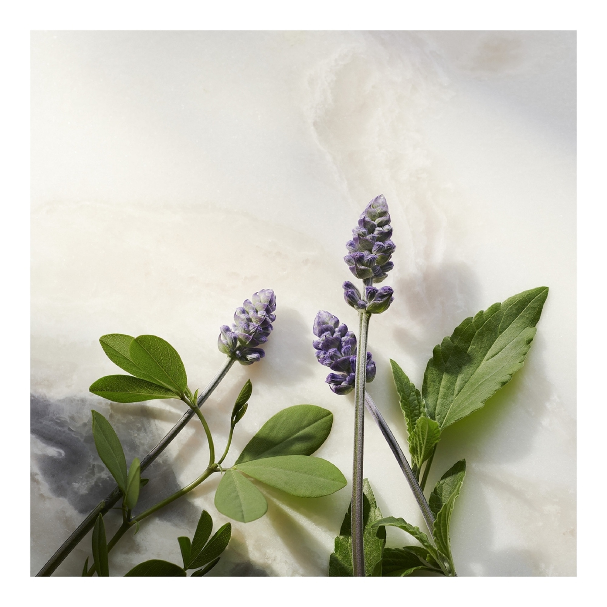 Recharge sérum anti-âge