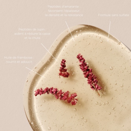 Shampooing fortifiant aux peptides d'amarante