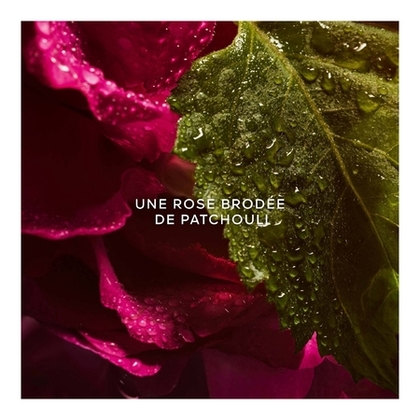 Eau de Parfum Absolue