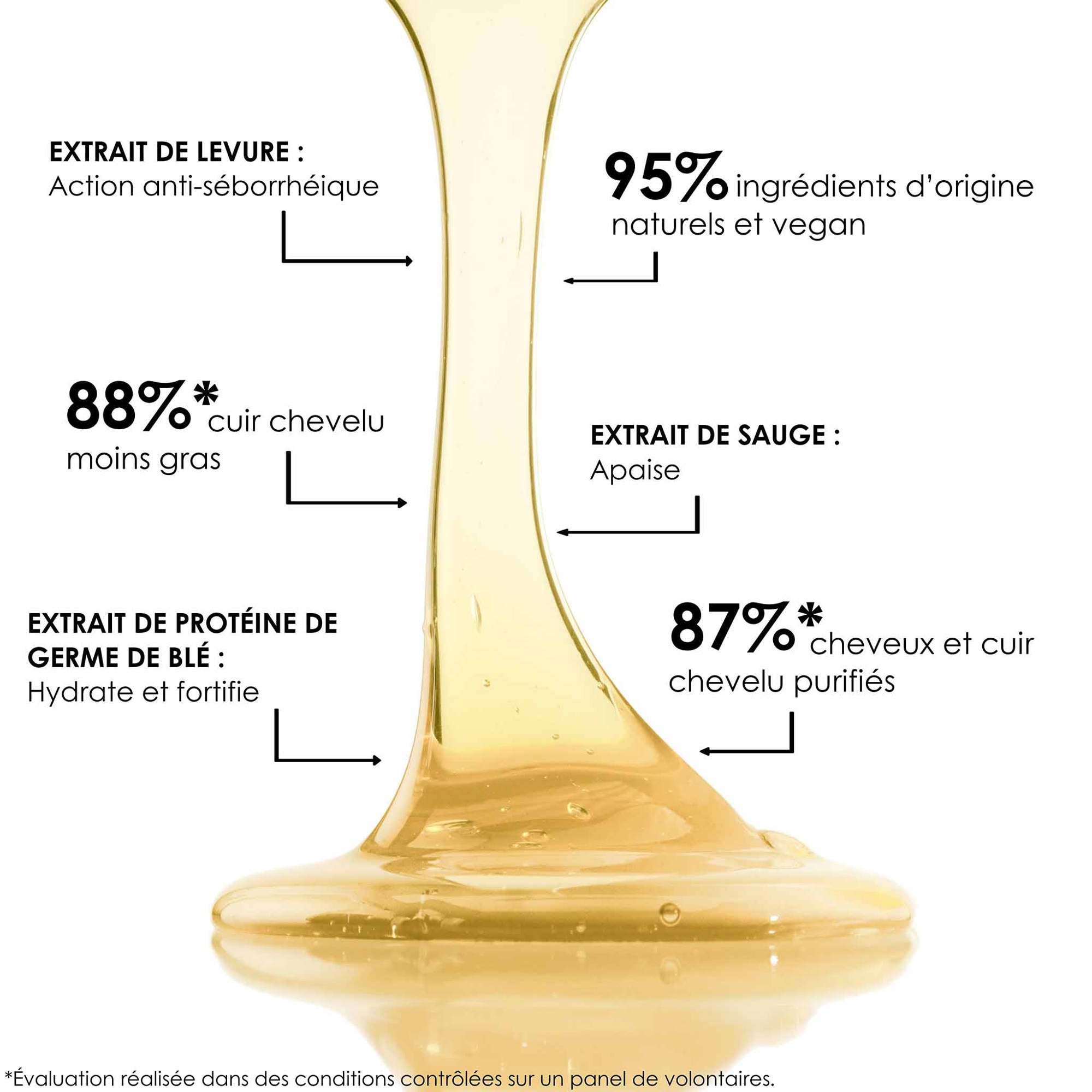200ML Leonor Greyl BAIN TS SHAMPOOING Bain équilibrant pour cuir chevelu gras, pointes sèches 3 of 4 Bain équilibrant pour cuir chevelu gras, pointes sèches