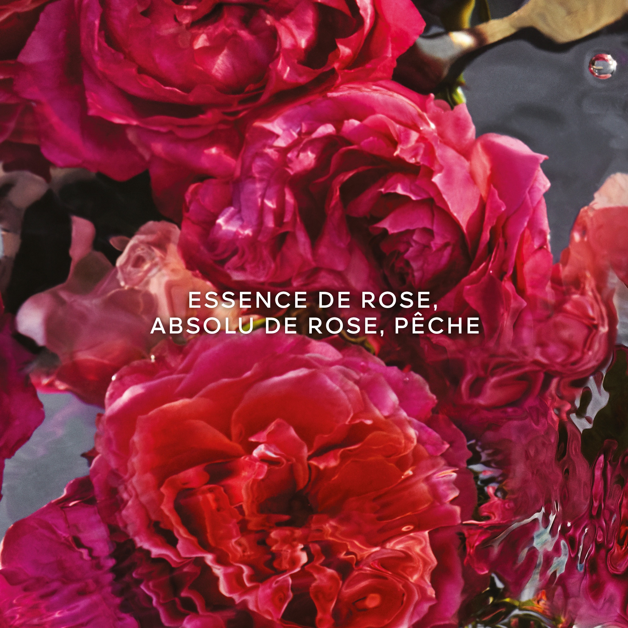 A.all.fort.rosa rossa edp125ml vp