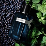 100ml Yves Saint Laurent Y Eau de parfum intense 2 of 3 Eau de parfum intense