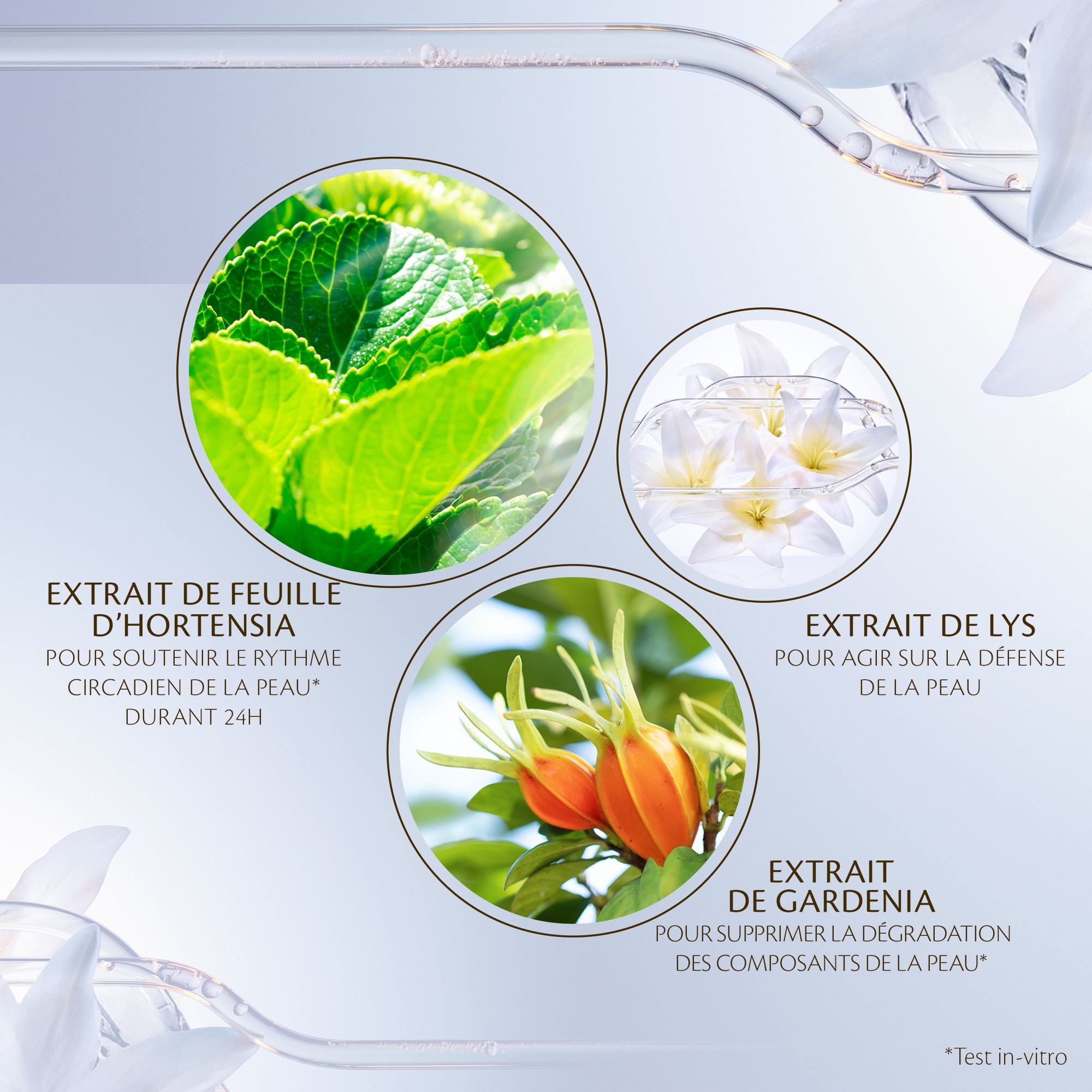 12mL CLÉ DE PEAU BEAUTÉ KEY RADIANCE CARE Crème jour protectrice renforcée - forrmat voyage  1 of 4 