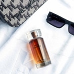 100ML KARL LAGERFELD PARFUMS MATIERES - BOIS D'AMBRE Bois d'ambre - eau de toilette 4 of 4 Bois d'ambre - eau de toilette
