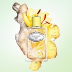 100ML Prada INFUSION DE GINGEMBRE Eau de parfum 3 of 4 Eau de parfum