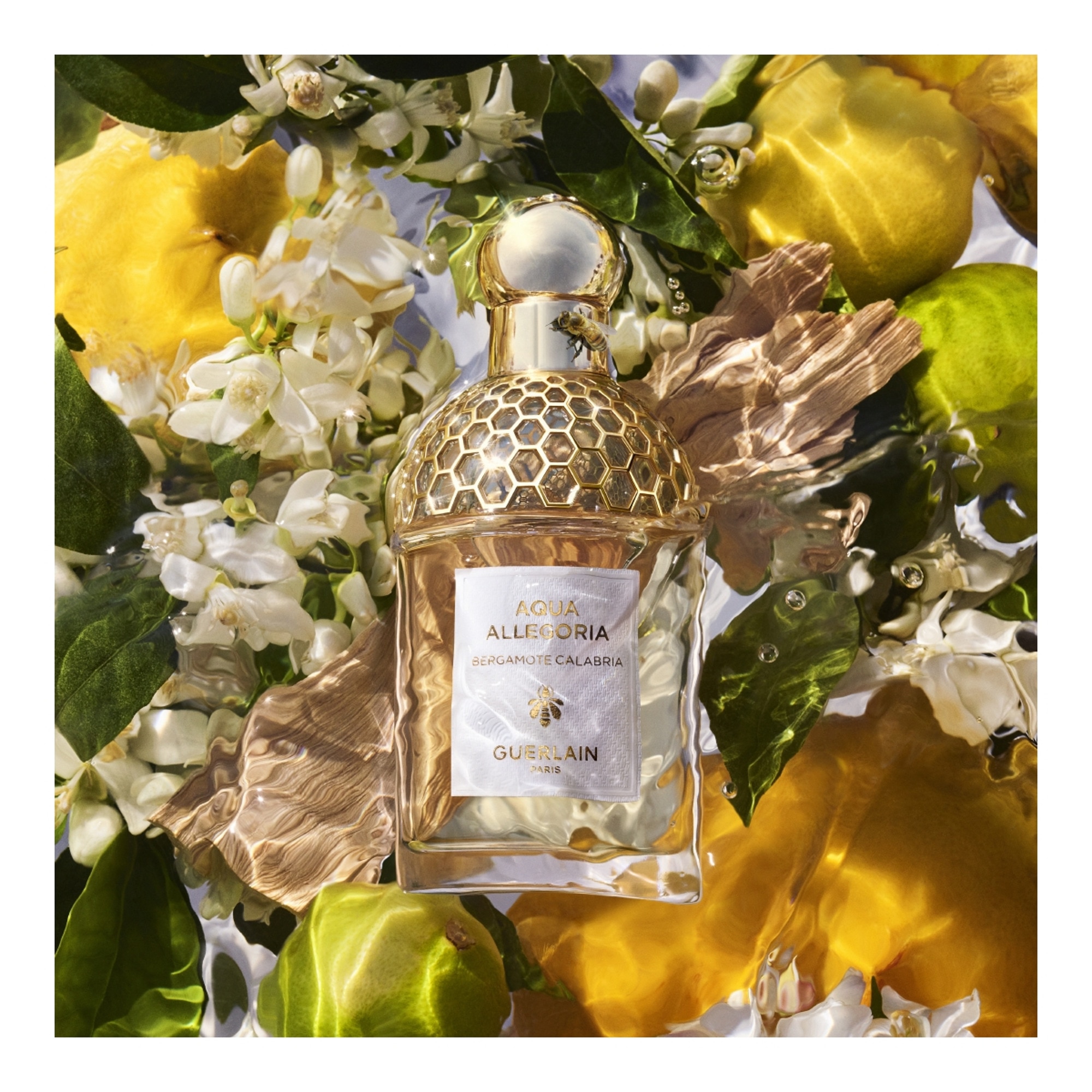 Bergamote calabria - eau de toilette