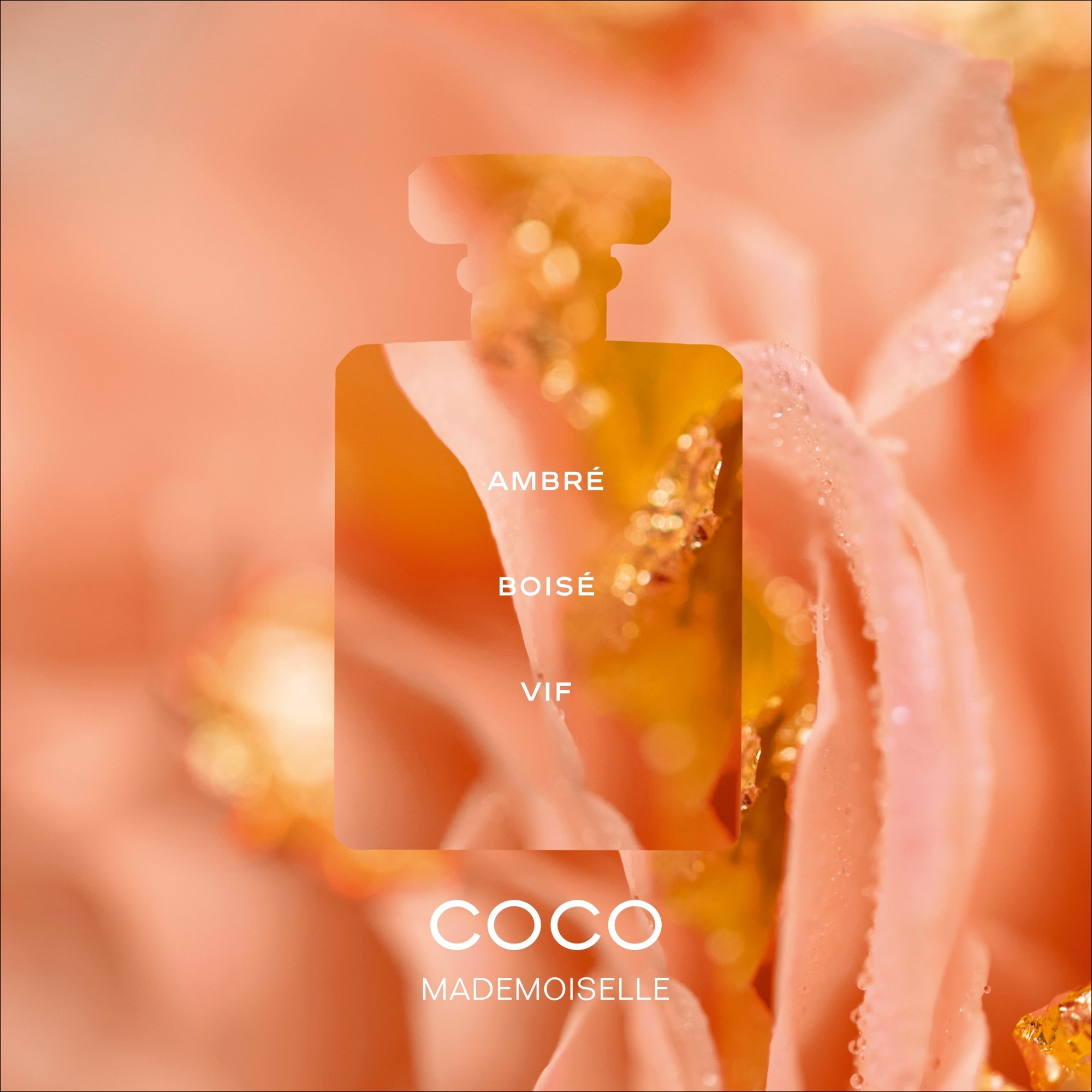 Eau de parfum vaporisateur