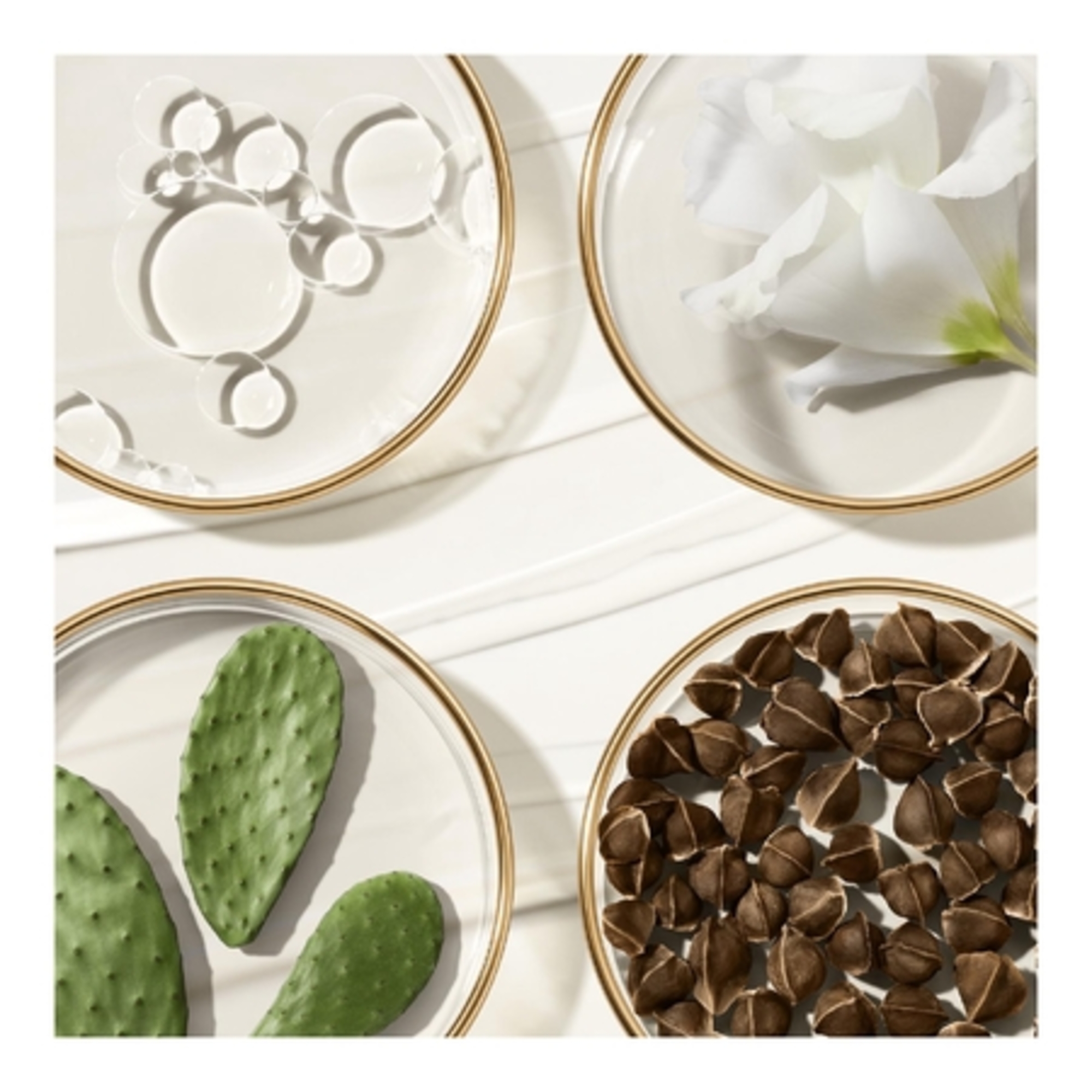 Baume yeux révélateur de jeunesse