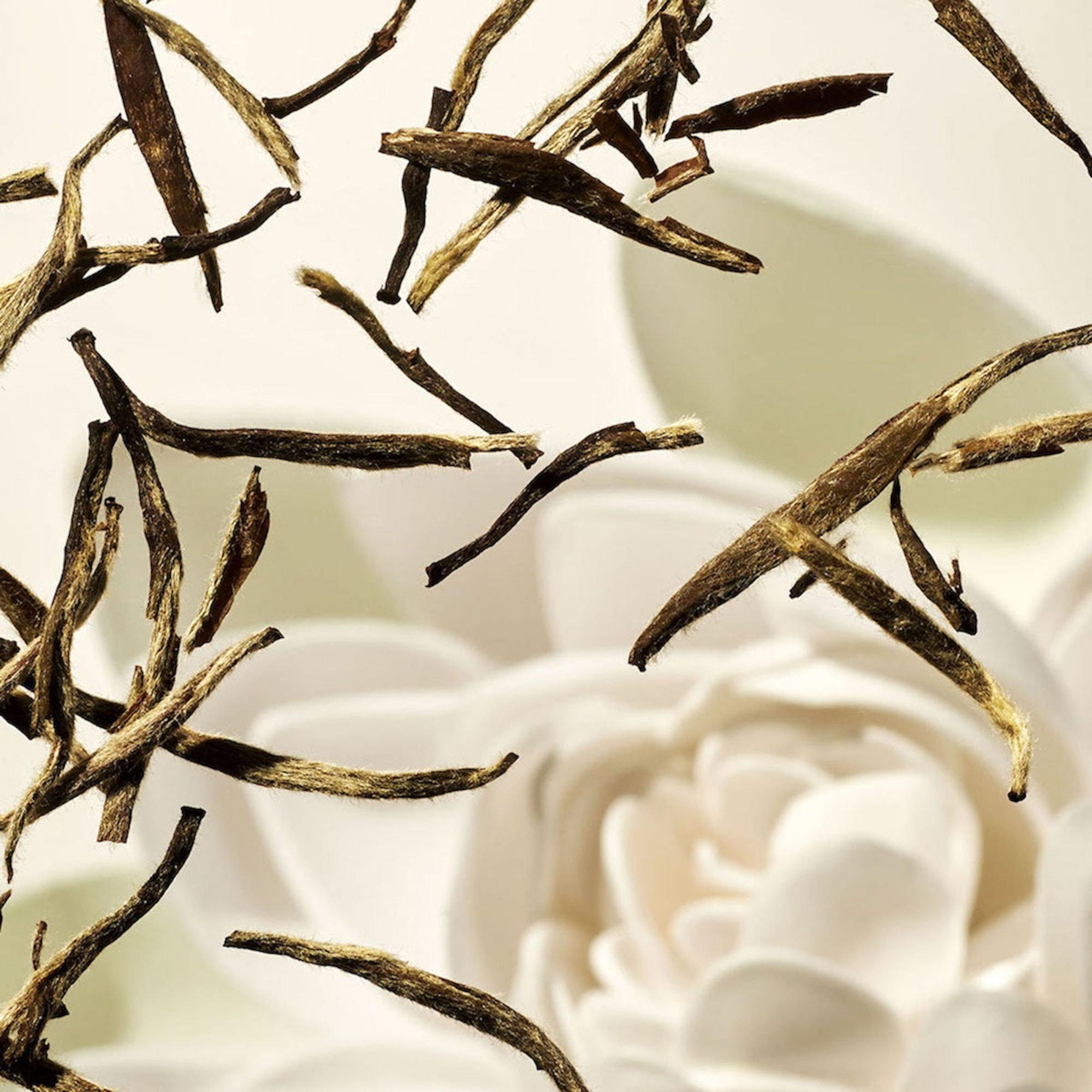 Masque de nuit corps