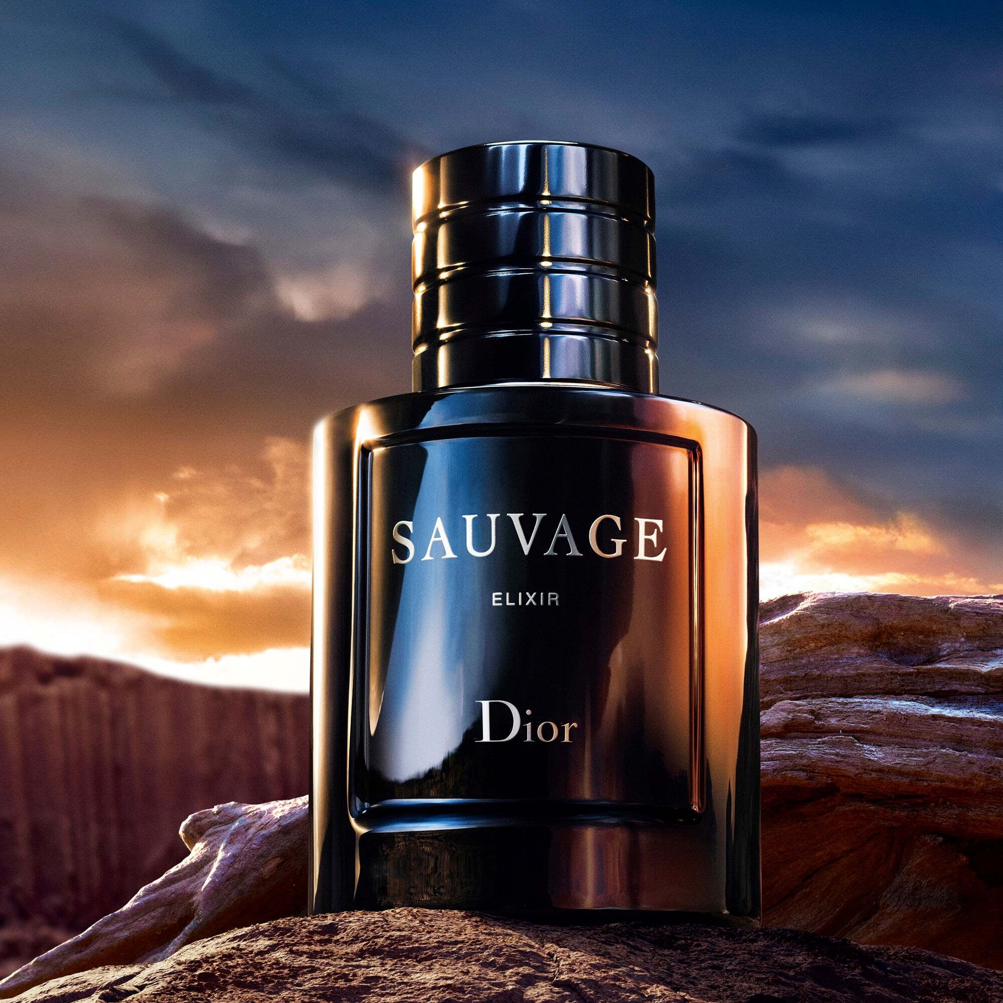 150ML DIOR SAUVAGE Elixir  1 of 4 
