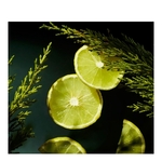  RITUALS RITUALS HOMME Life is a journey - recharge parfum voiture  3 of 3 Life is a journey - recharge parfum voiture
