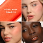 Armani DOLCI MAKEUP BLUSH Blush multi-usages 2 of 4 Blush multi-usages