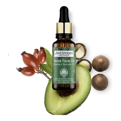 Huile divine visage Cynorrhodon & avocat