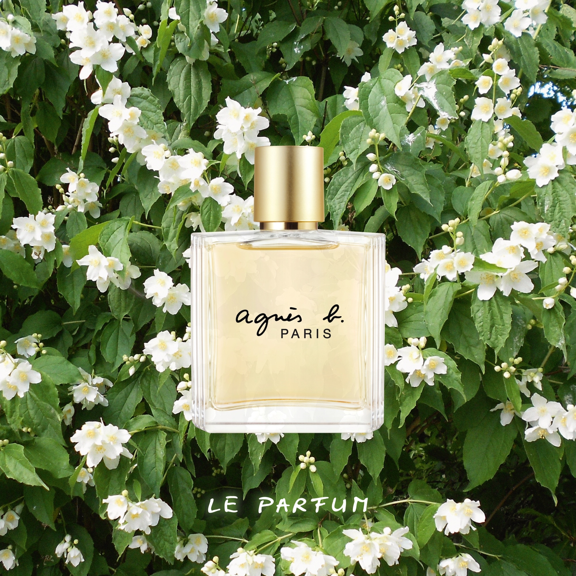 Eau de parfum