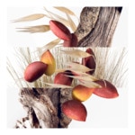 50ml Hermès UN JARDIN A CYTHERE Eau de toilette 3 of 4 Eau de toilette