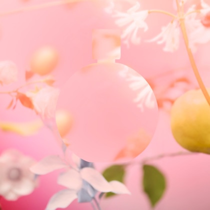 Chanel chance eau tendre eau de toilette vaporisateur