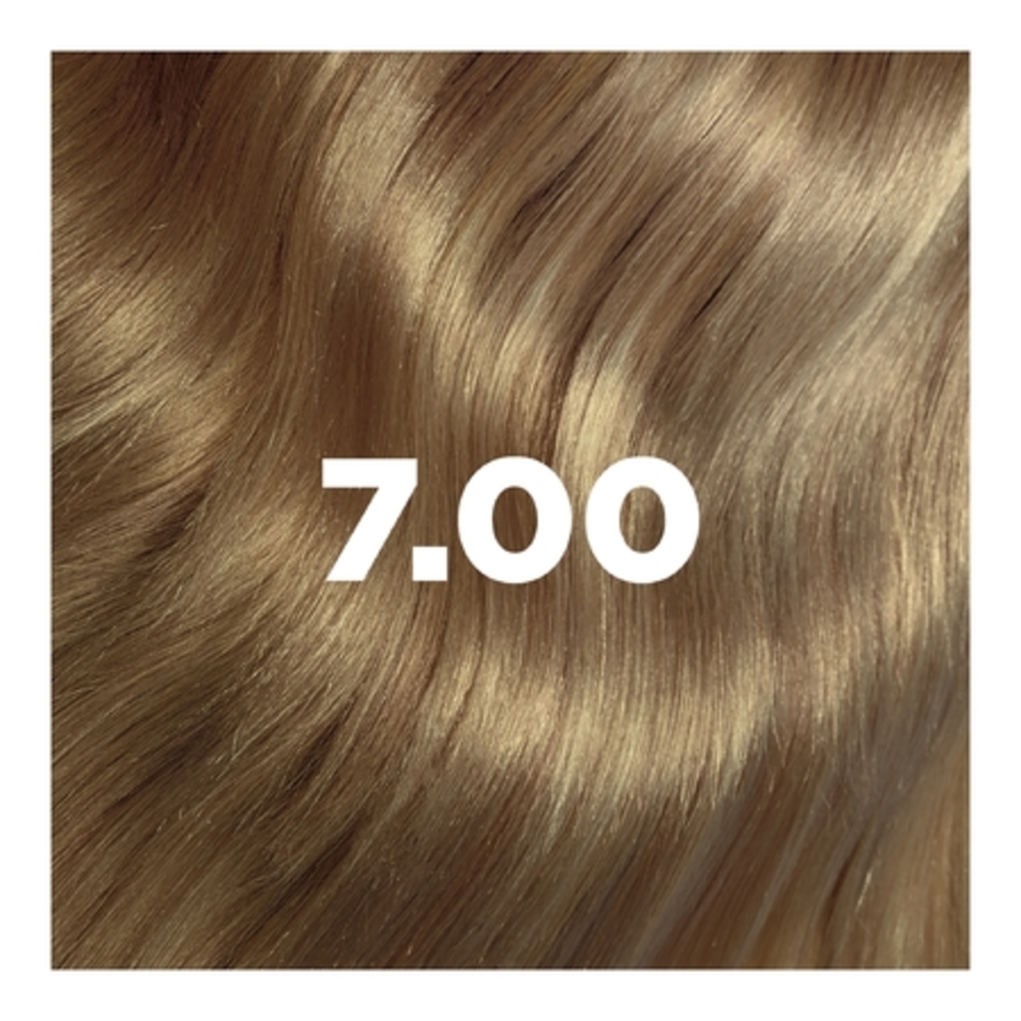 Coloration permanente aux extraits botaniques