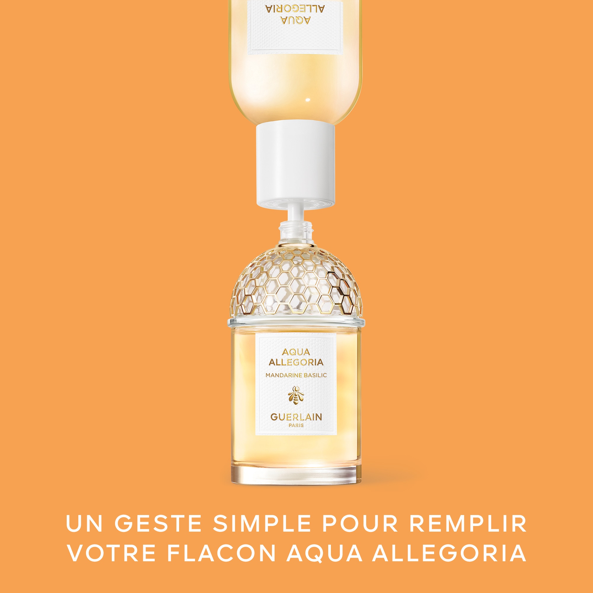 Mandarine basilic - recharge