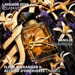 30mL Yves Saint Laurent LIBRE Eau de parfum intense - rechargeable 3 of 4 Eau de parfum intense - rechargeable