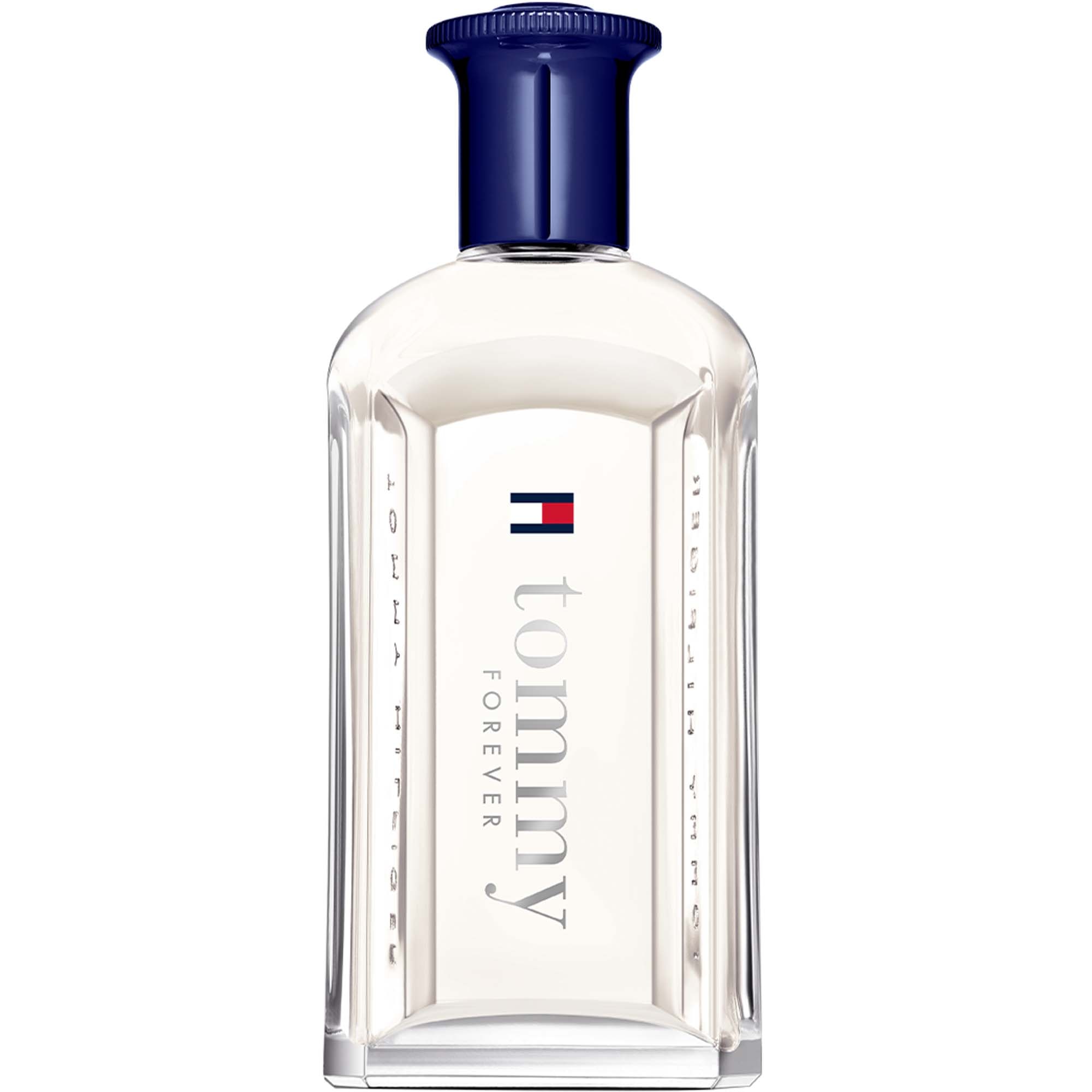 Tommy Hilfiger - Tommy - Eau De Toilette - 100ml