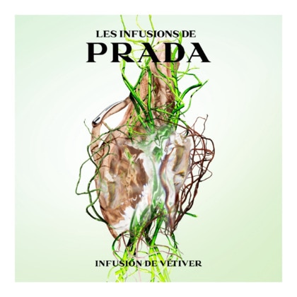 Eau de parfum boisée hespéridée audacieuse