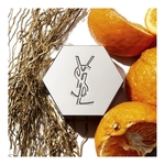 100ML Yves Saint Laurent L'Homme Eau de Parfum Vaporisateur  3 of 4 Eau de Parfum Vaporisateur