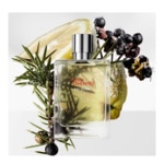 200ml Hermès TERRE D'HERMÈS EAU GIVRÉE Recharge parfum 3 of 4 Recharge parfum