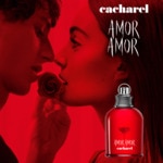 50ml CACHAREL AMOR AMOR Eau de toilette  4 of 4 Eau de toilette